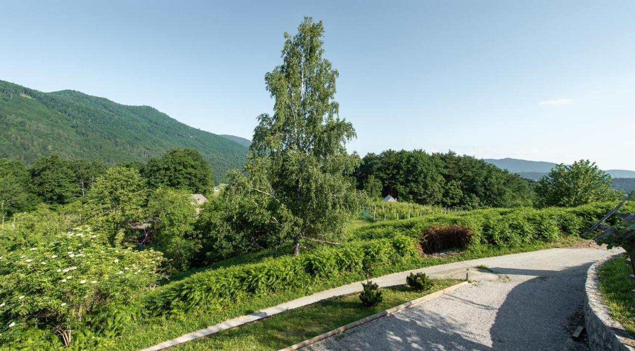 Apartamento Zidan'Ca Rosel Dolenjske Toplice Exterior foto