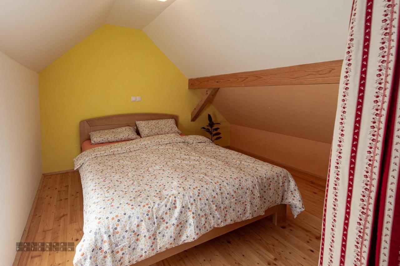 Apartamento Zidan'Ca Rosel Dolenjske Toplice Exterior foto