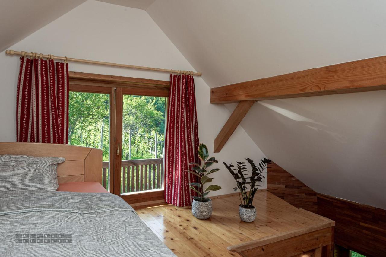 Apartamento Zidan'Ca Rosel Dolenjske Toplice Exterior foto