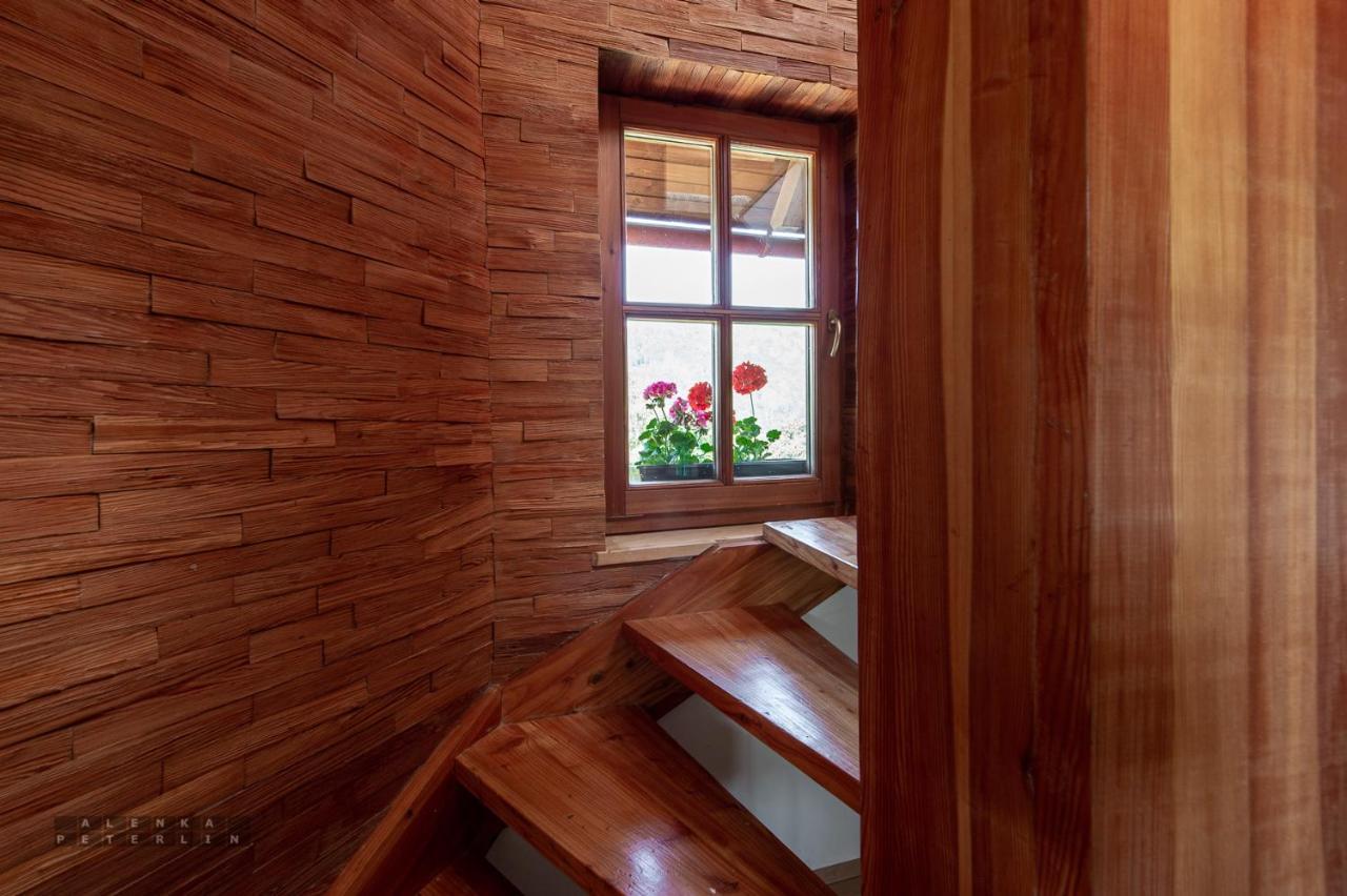 Apartamento Zidan'Ca Rosel Dolenjske Toplice Exterior foto